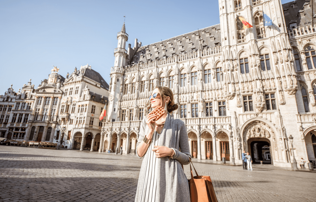 Brussels and Bruges Guided Tour from Paris