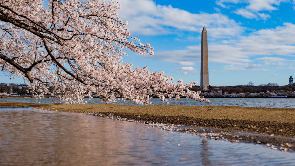 Excursión privada a Washington & Filadelfia en un día