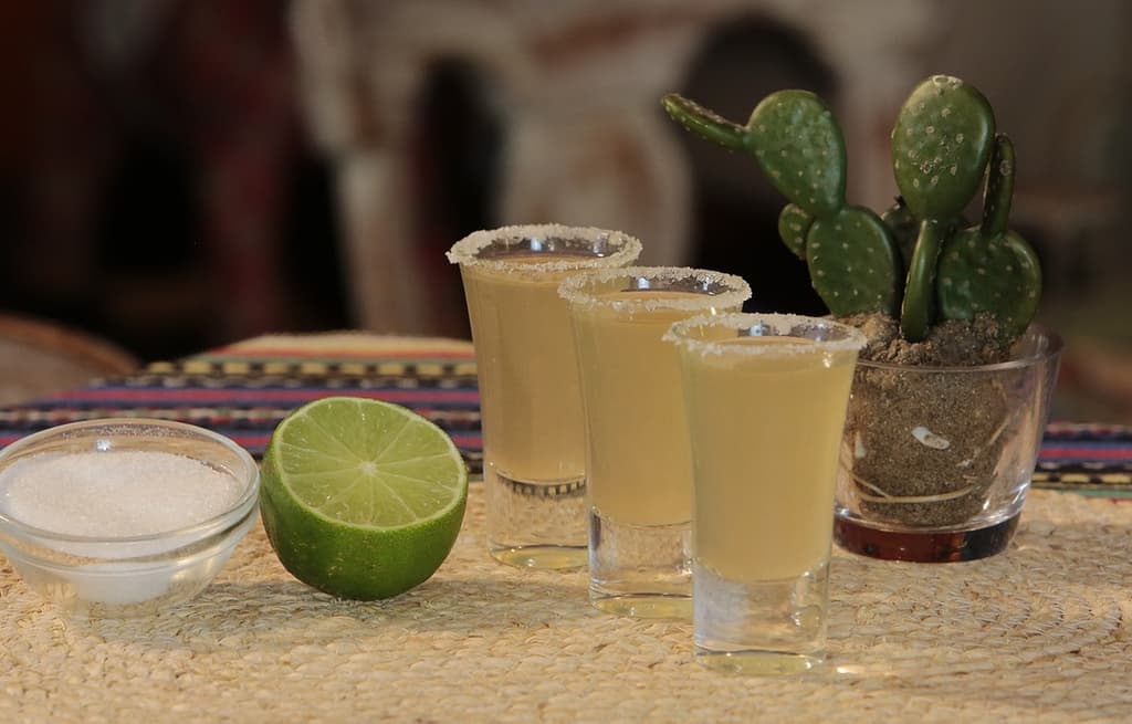 Tequila Tour con Destilería Tradicional o de Jose Cuervo