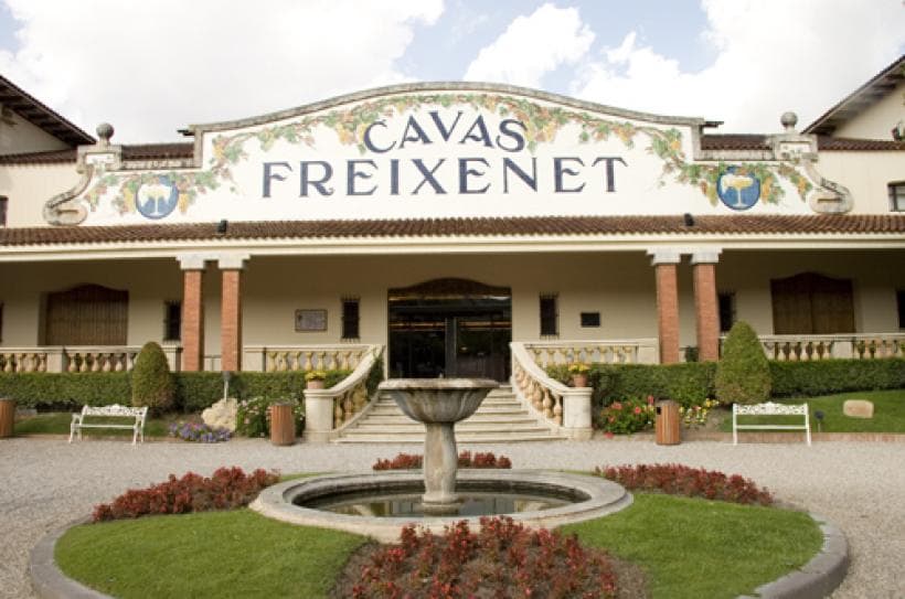 Tour Privado a Bodega Freixenet y Peña de Bernal