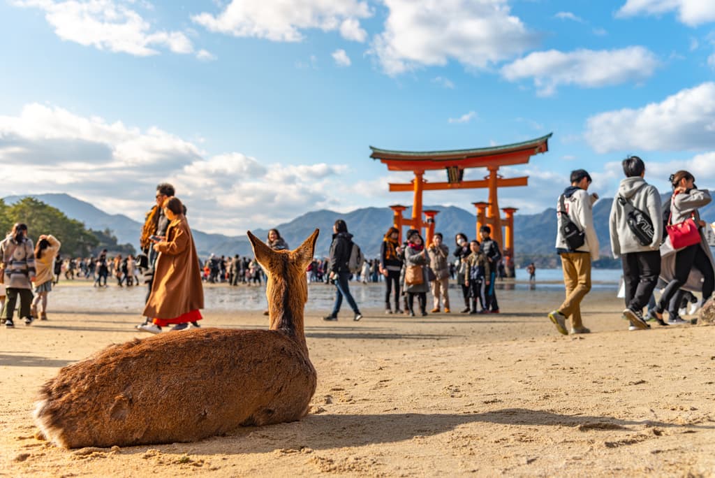 Day Trip to Hiroshima & Miyajima with Itsukushima Shrine & Ferry from Kyoto