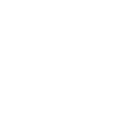 journey in bus