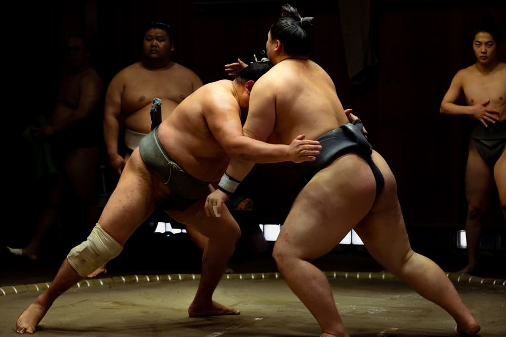 Torneo de Sumo en vivo: Nagoya desde Osaka