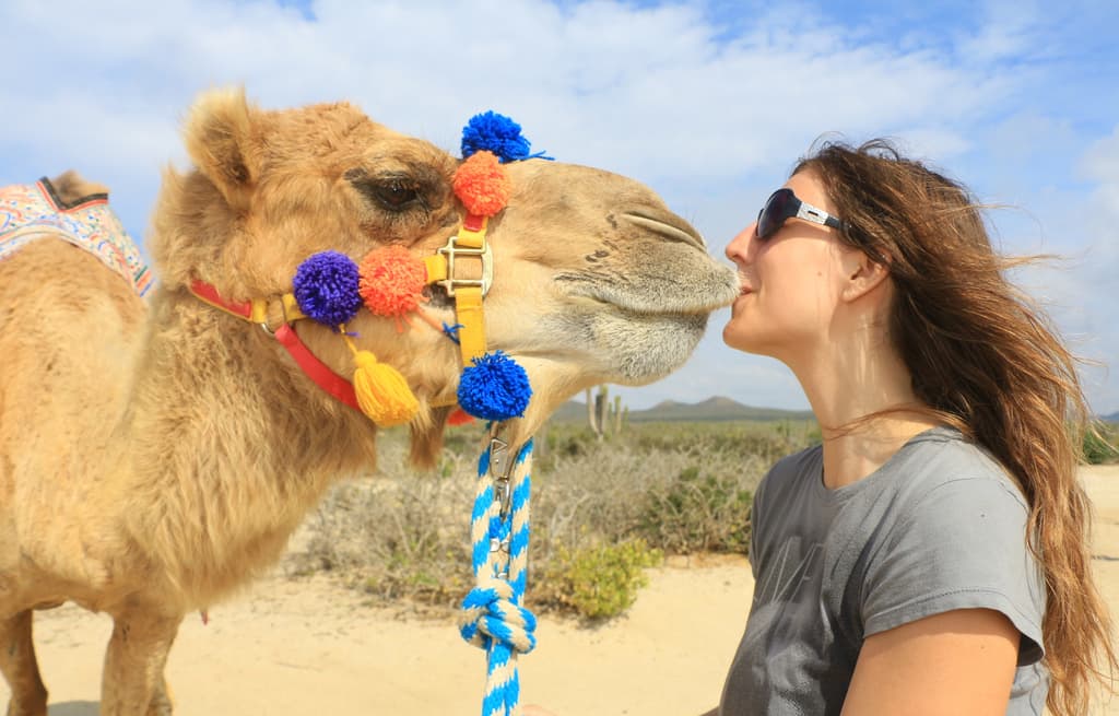 Tour con Safari de Camellos