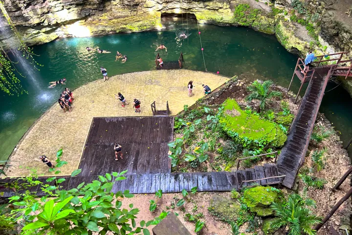 a garden with water in the background
