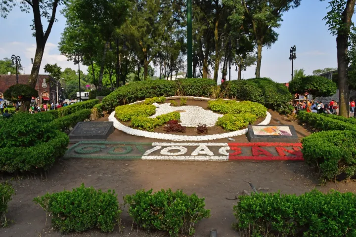 a close up of a flower garden