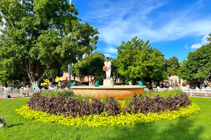 a group of people in a garden