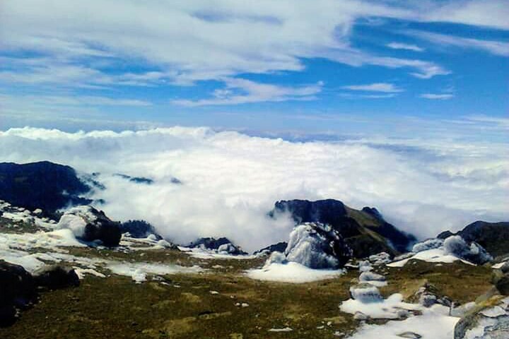 a flock of birds sitting on top of a mountain