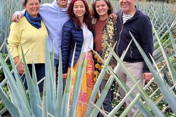 a group of people standing on a plant
