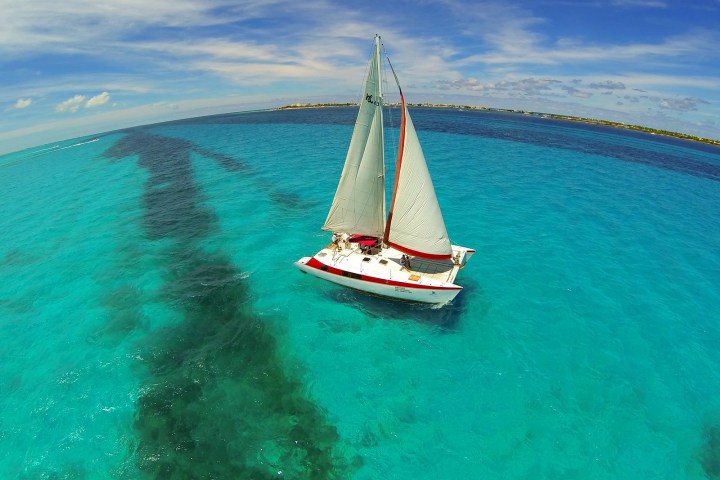 a blue and white boat sitting next to a body of water