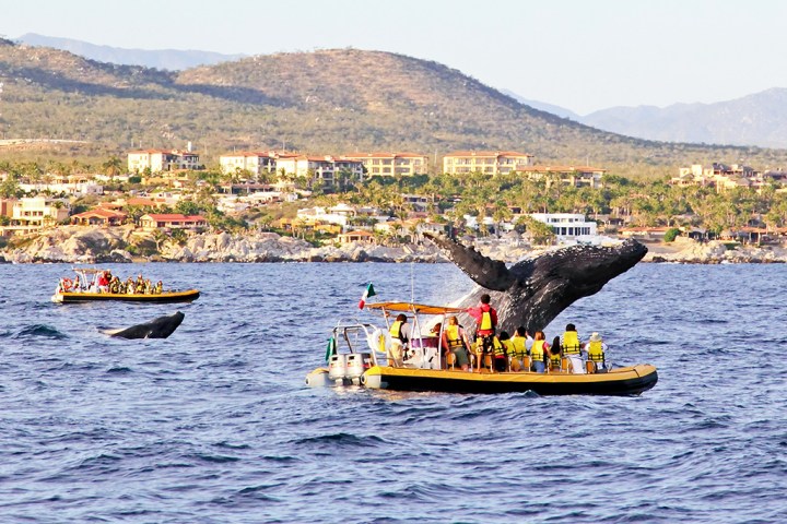 a small boat in a body of water with a mountain in the background