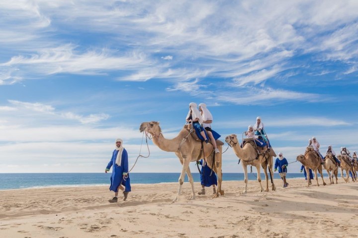 a group of people riding horses on a beach