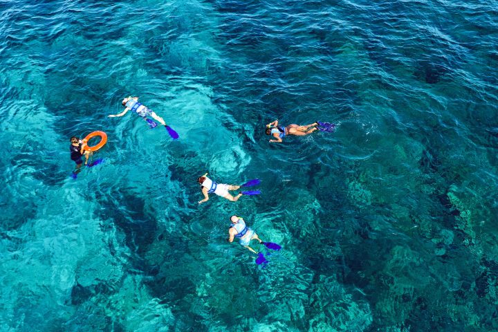 a group of people swimming in the water