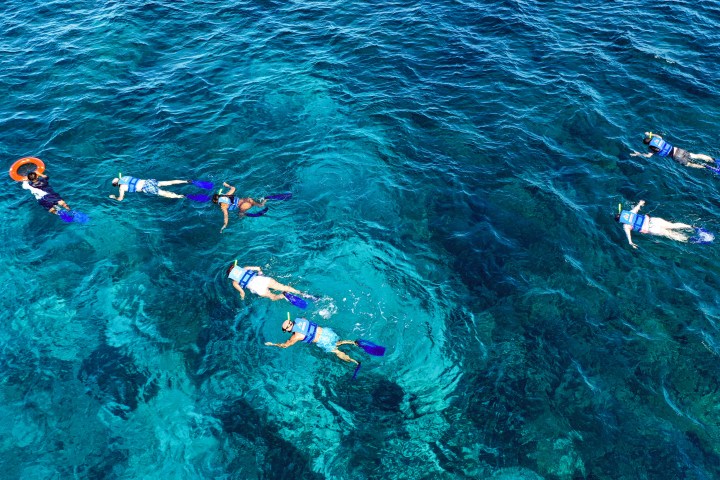 a group of people swimming in a body of water