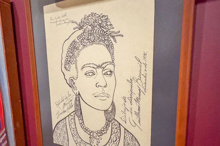 Framed line drawing of a woman with intricate hairstyle and earrings on a maroon wall.