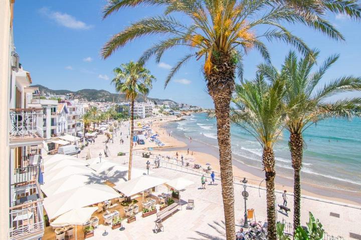 a beach with a palm tree