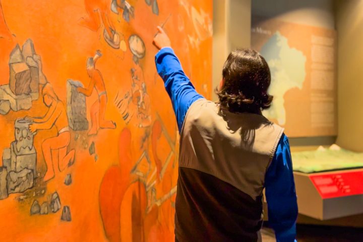 a person wearing a costume