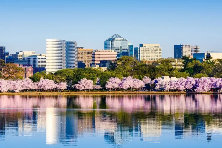 a body of water with a city in the background