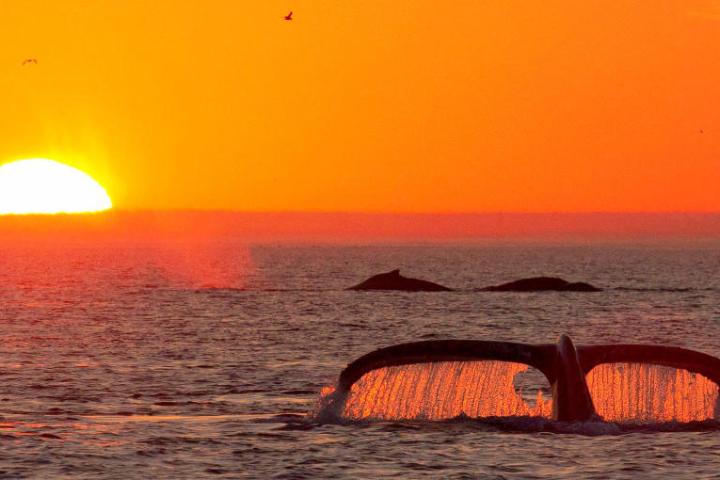 a sunset over a body of water
