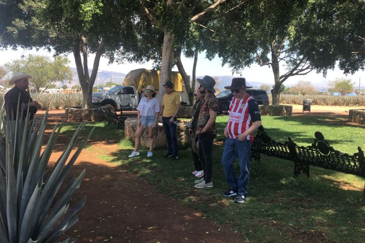 a group of people standing in a garden