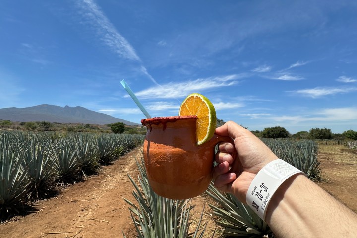 a person sitting on top of a dirt field