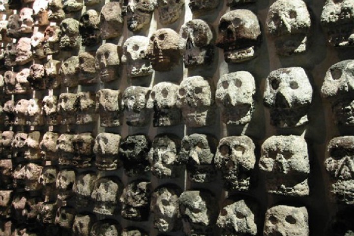 a display in a store