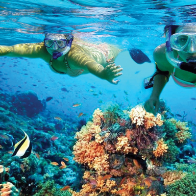 a person swimming in a pool of water