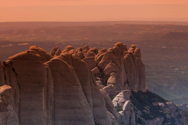 a herd of sheep standing on top of a mountain