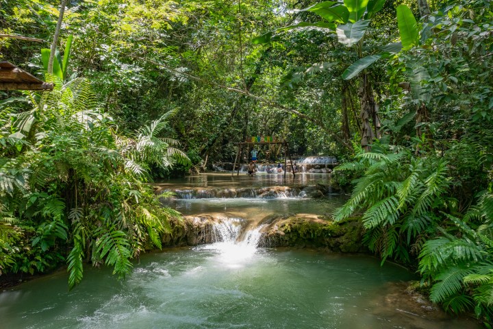 a river surrounded by trees