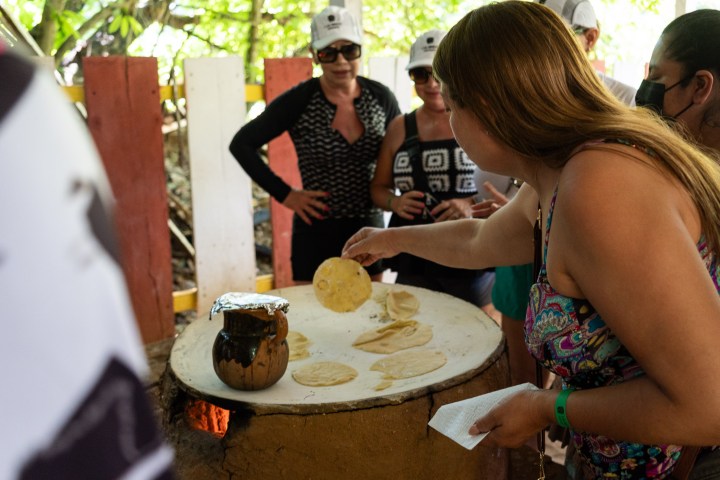 a person cutting a cake