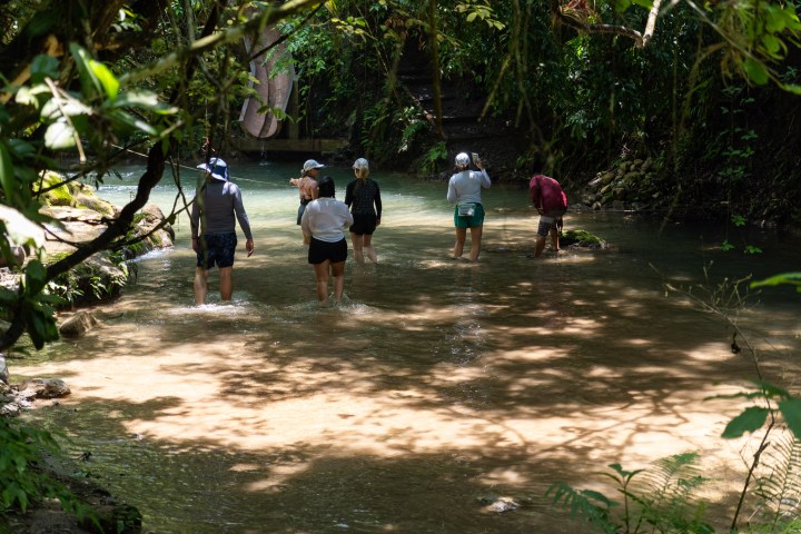 a group of people walking down a dirt road