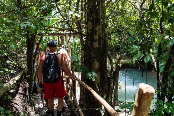 a person standing next to a tree