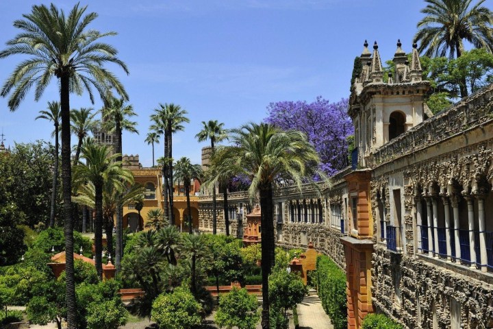 a close up of a stone building with palm trees