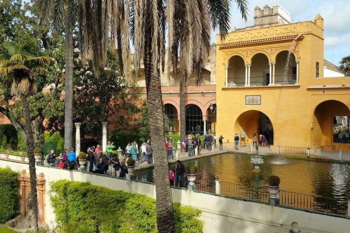 a group of people in a garden