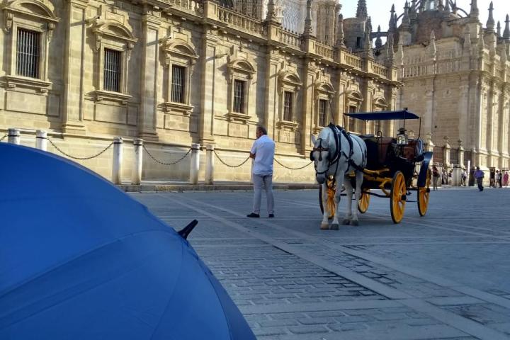 a person riding a horse in a city