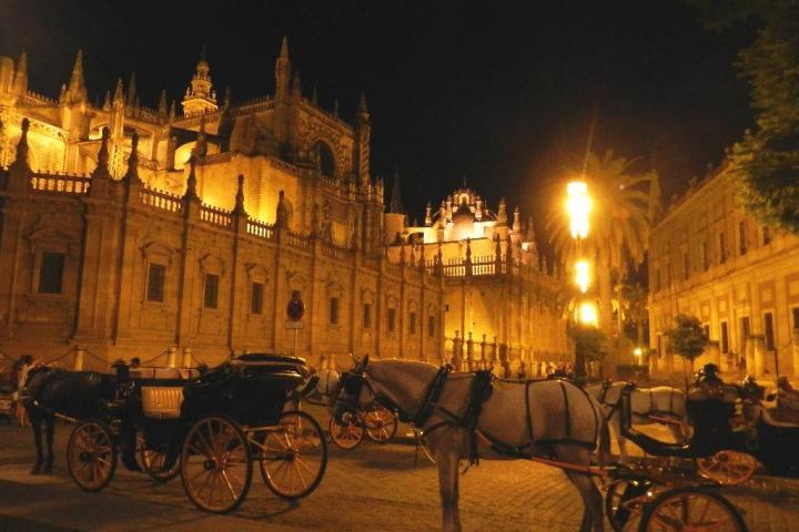 a close up of a horse drawn carriage on a city street