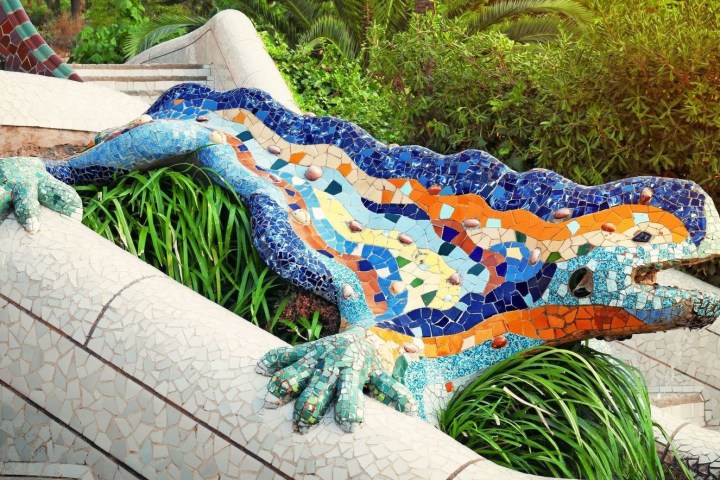 a reptile lying in the grass