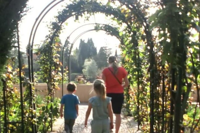 a person standing in front of a tree