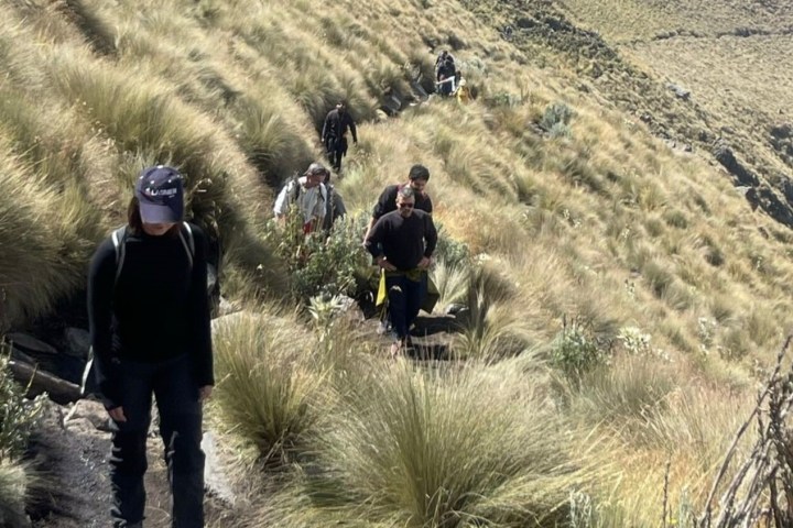 a group of people standing on top of a grass covered field