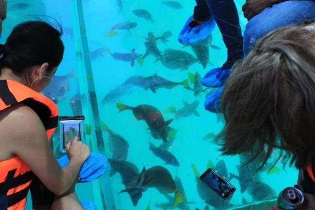 a group of people swimming in the water
