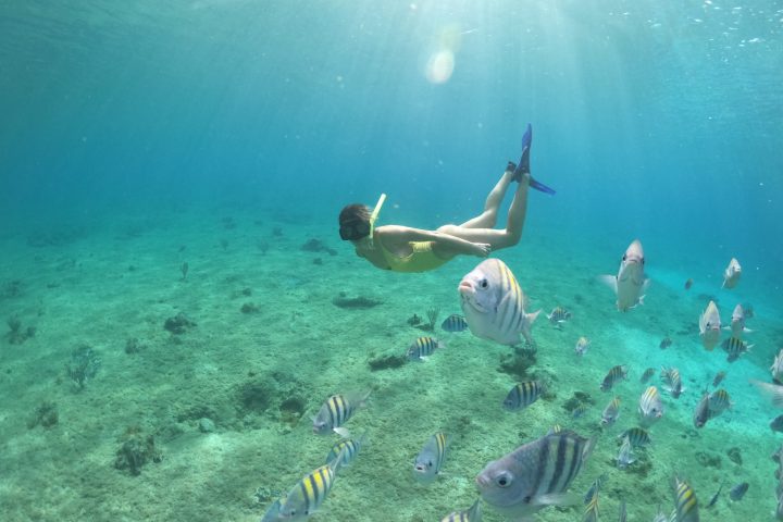 a couple of people that are underwater