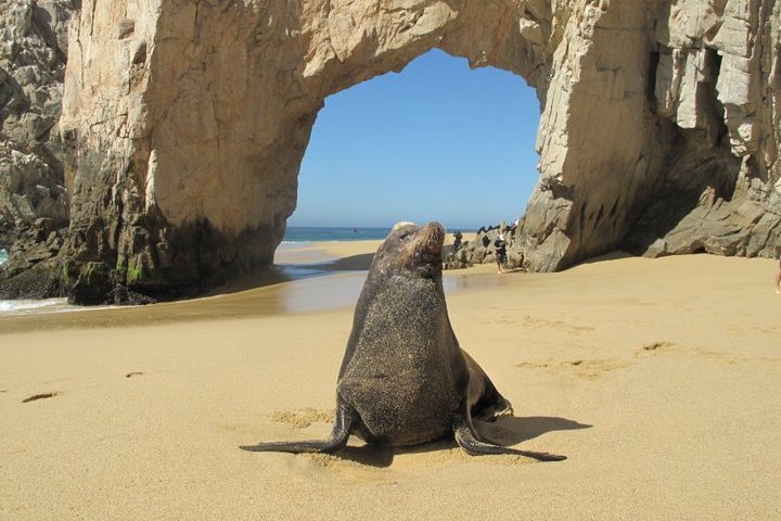 a close up of a rock