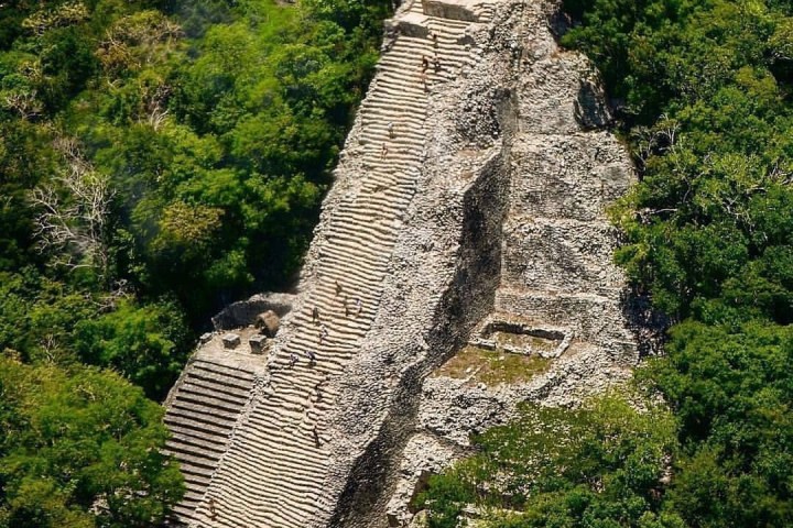 a close up of a lush green hillside