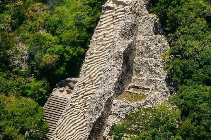 a close up of a lush green hillside
