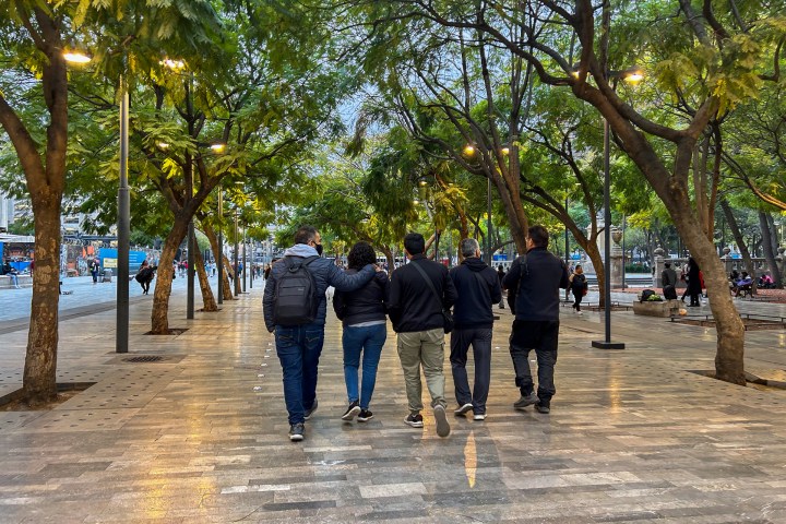 a group of people walking down a street next to a tree