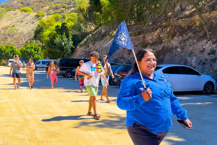 a young boy holding a kite