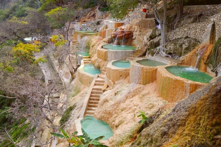 a close up of a garden