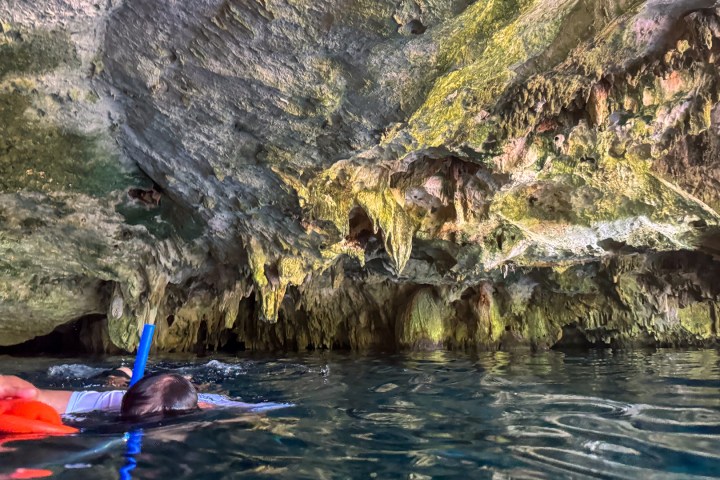 a person swimming in the water