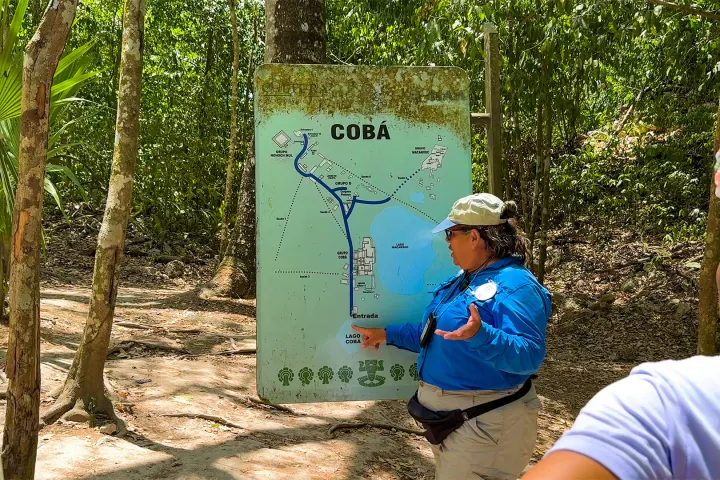 a person standing next to a tree