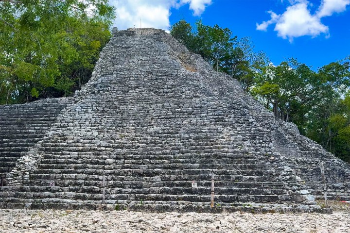 a close up of a tree with Coba in the background
